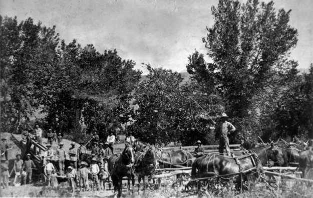 horse-threshing-1916