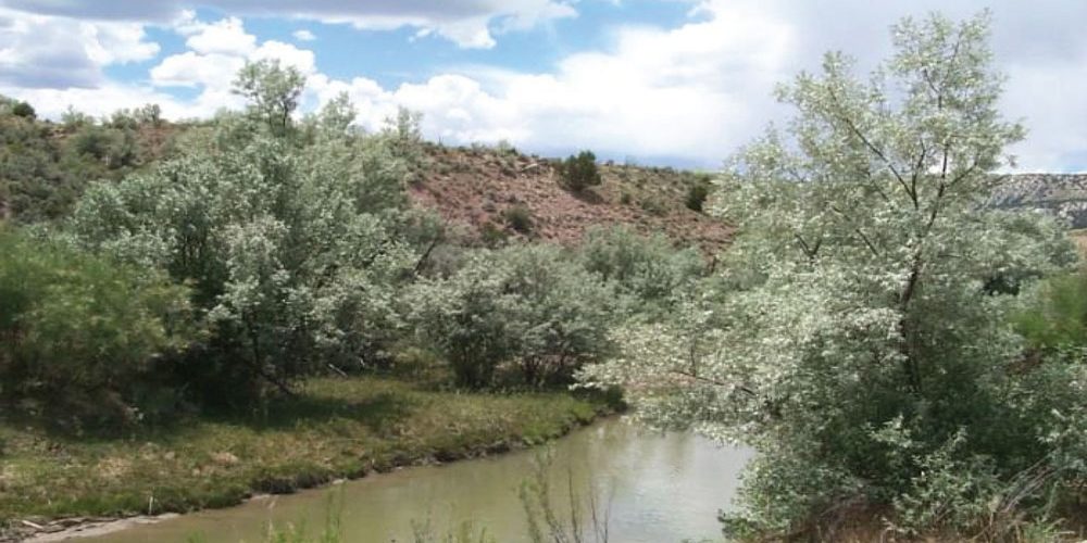 Grafton-Newsletter-2021