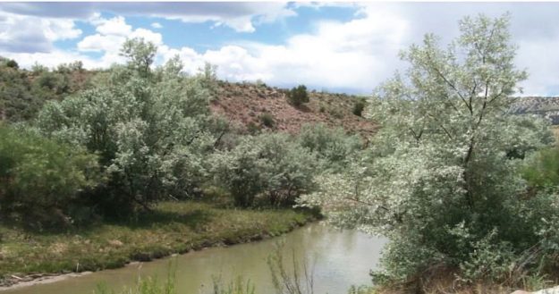 Grafton-Newsletter-2021